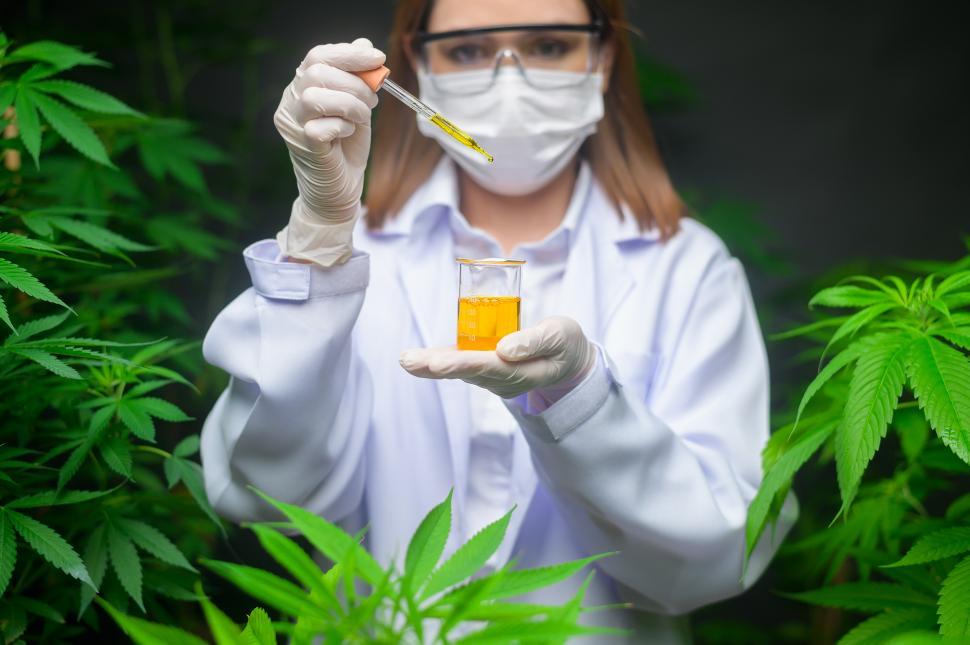 Free Image of A scientist is showing cannabis extract or CBD oil in an indoor facility 