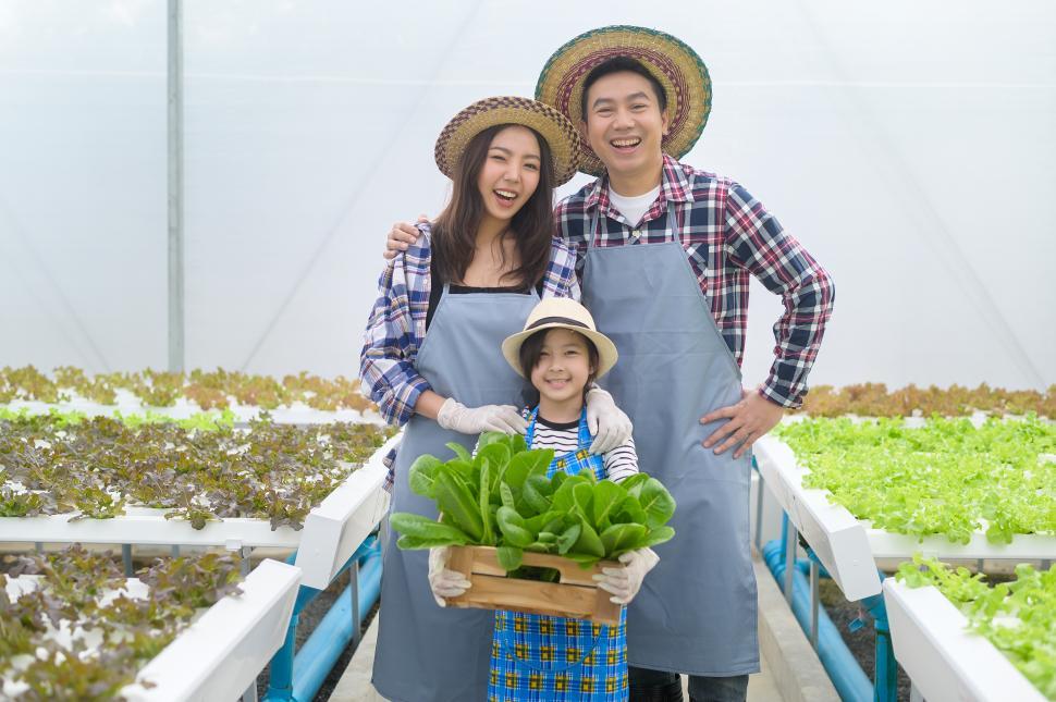Free Image of Happy family working in hydroponic greenhouse farm 