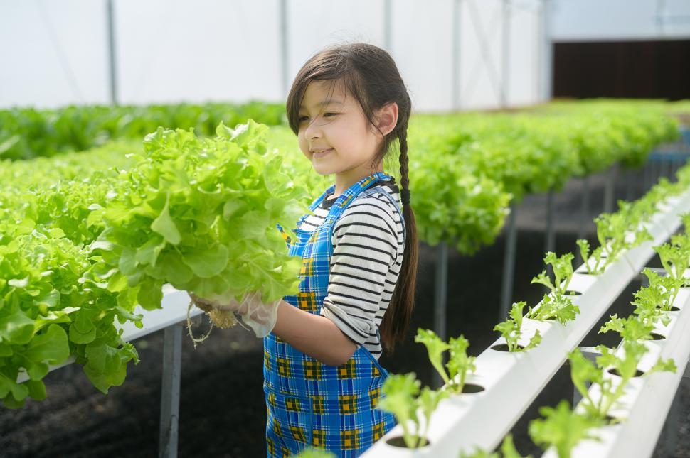 Free Image of Happy cute girl learning and studying in hydroponic greenhouse 