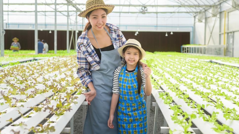 Free Image of Happy farmer mom and daughter working in hydroponic greenhouse farm 