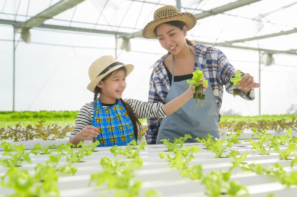 Free Image of  Mom and daughter working together in hydroponic greenhouse 