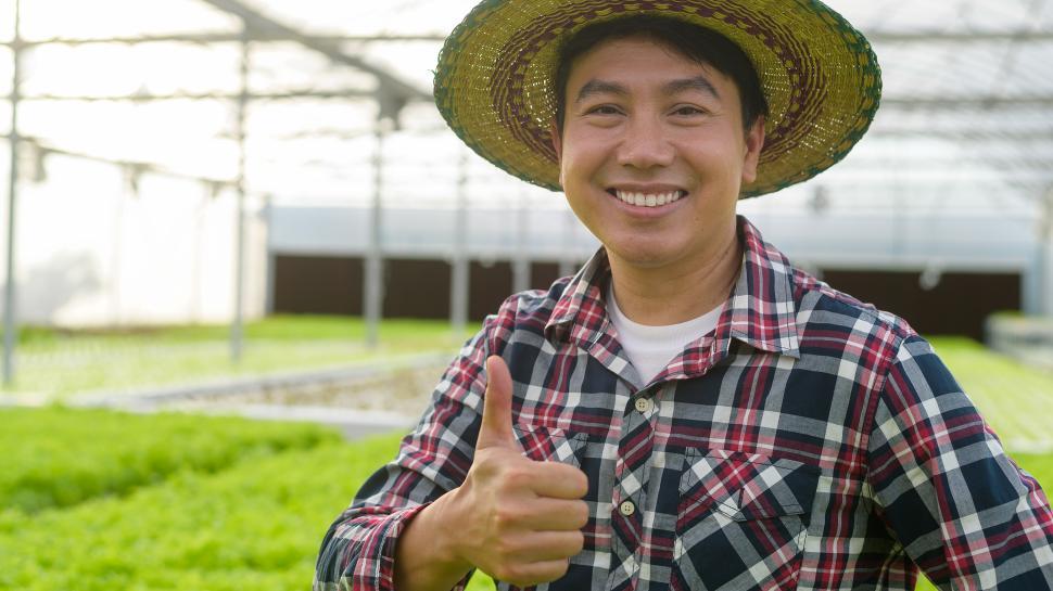 Free Image of Happy male farmer working in hydroponic greenhouse farm giving thumbs up 