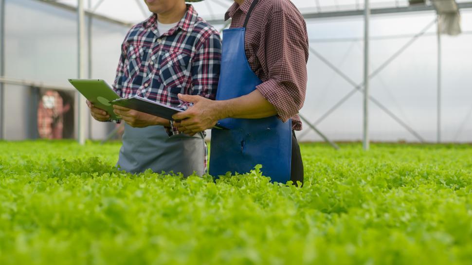 Free Image of Workers using tablet in hydroponic greenhouse farm 
