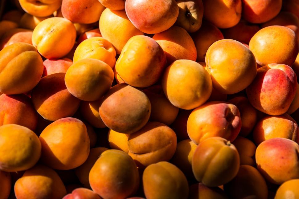 Free Image of Apricots Free Stock Photo 