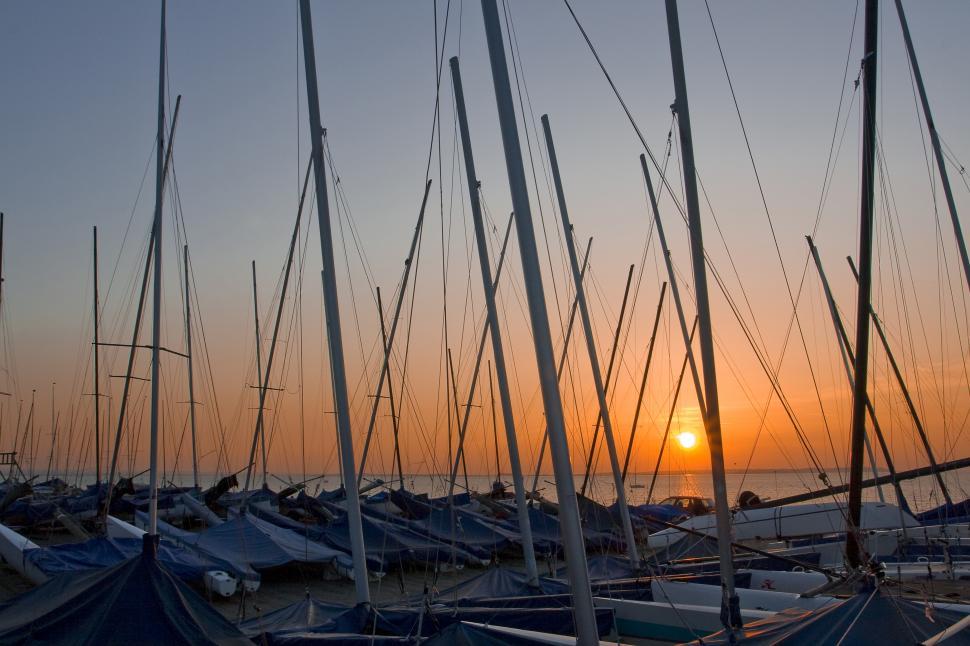 Free Image of Boat Masts At Sunset Free Stock Photo 