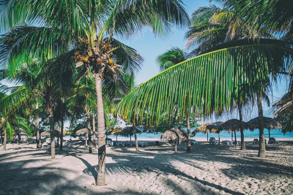 Free Image of Caribbean Beach, Cuba Free Stock Photo 
