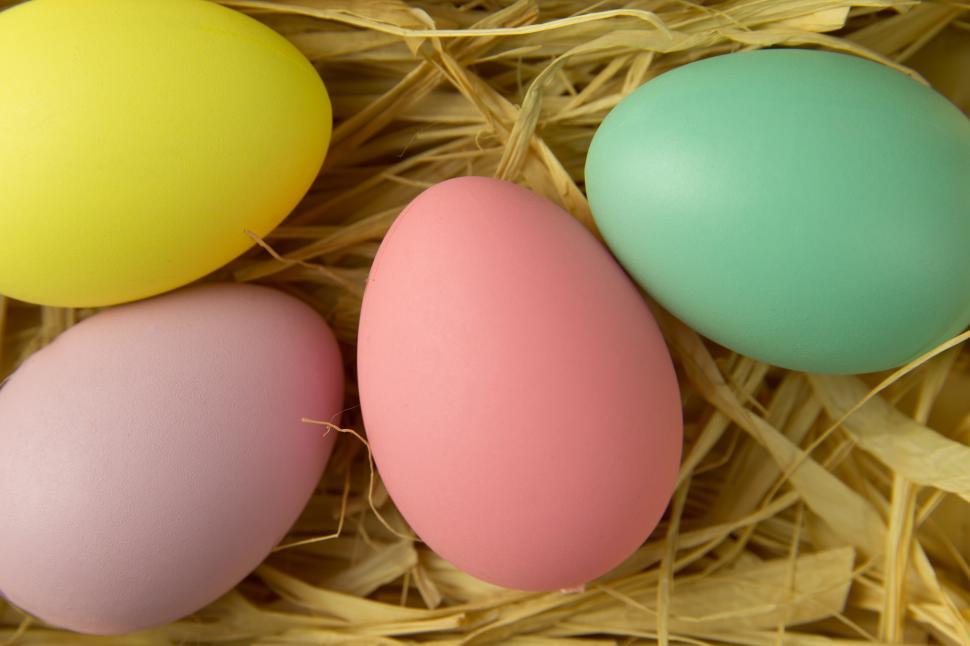 Free Image of Colourful Easter Eggs Free Stock Photo 