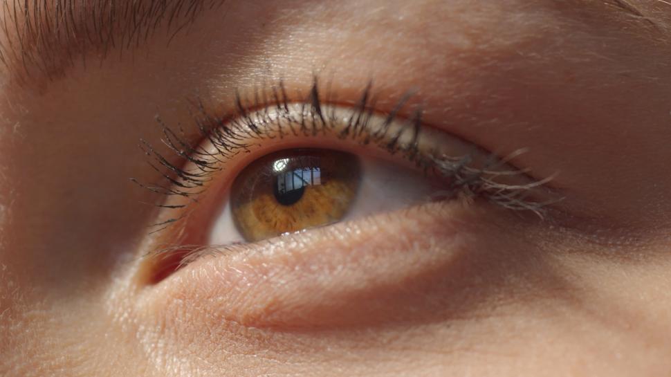 Free Image of Close up of a persons brown eye 
