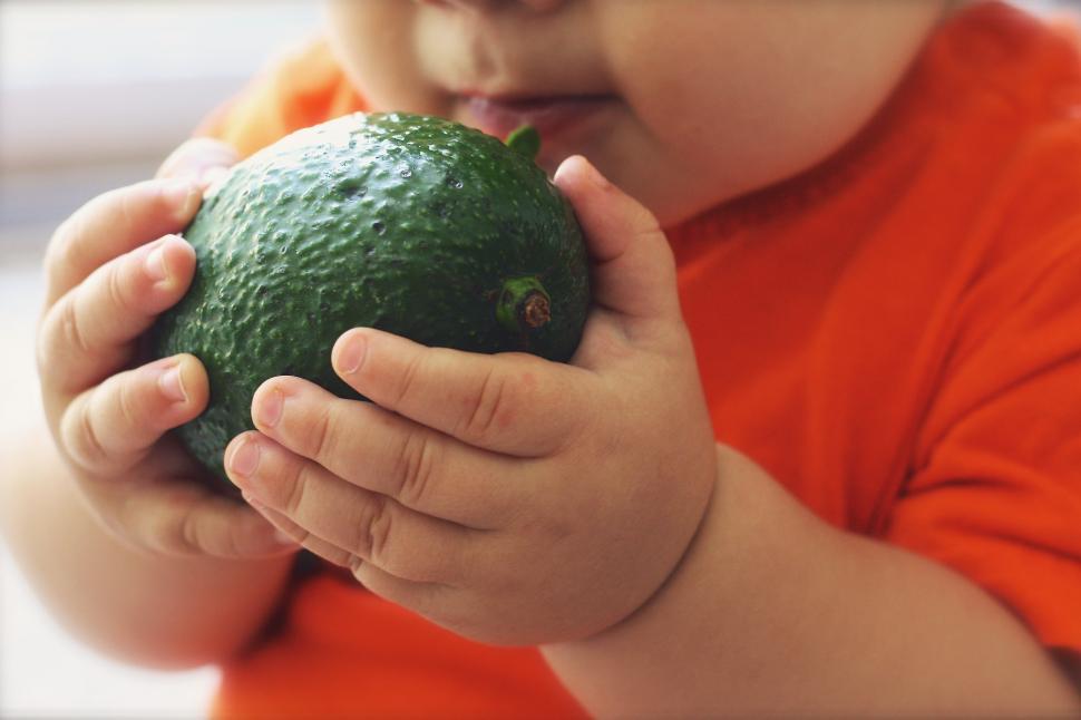 Free Image of A baby holding a green avocado 