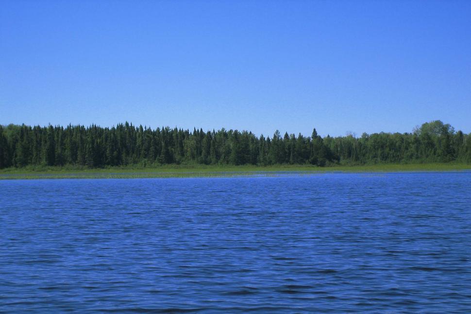 Free Image of Water Body With Trees in the Background 