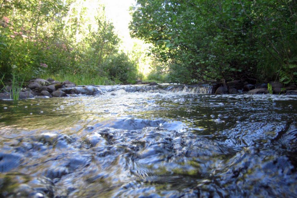 Free Image of Scenic Wooded Stream 