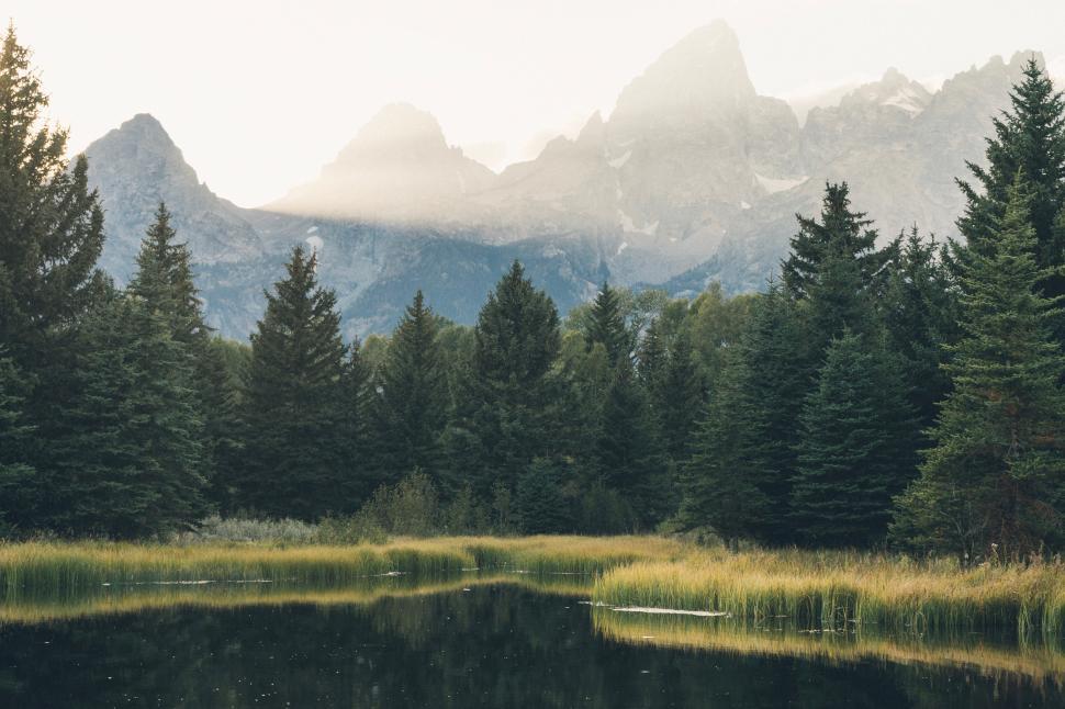 Free Image of A lake surrounded by trees and mountains 