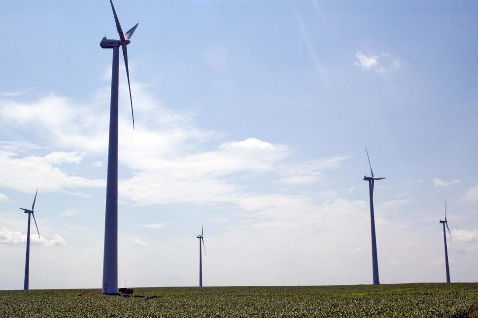 Free Image of Row of Wind Turbines in a Field 