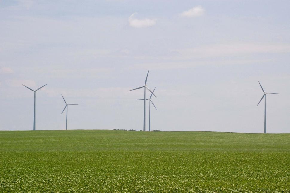 Free Image of Group of Wind Turbines in a Green Field 