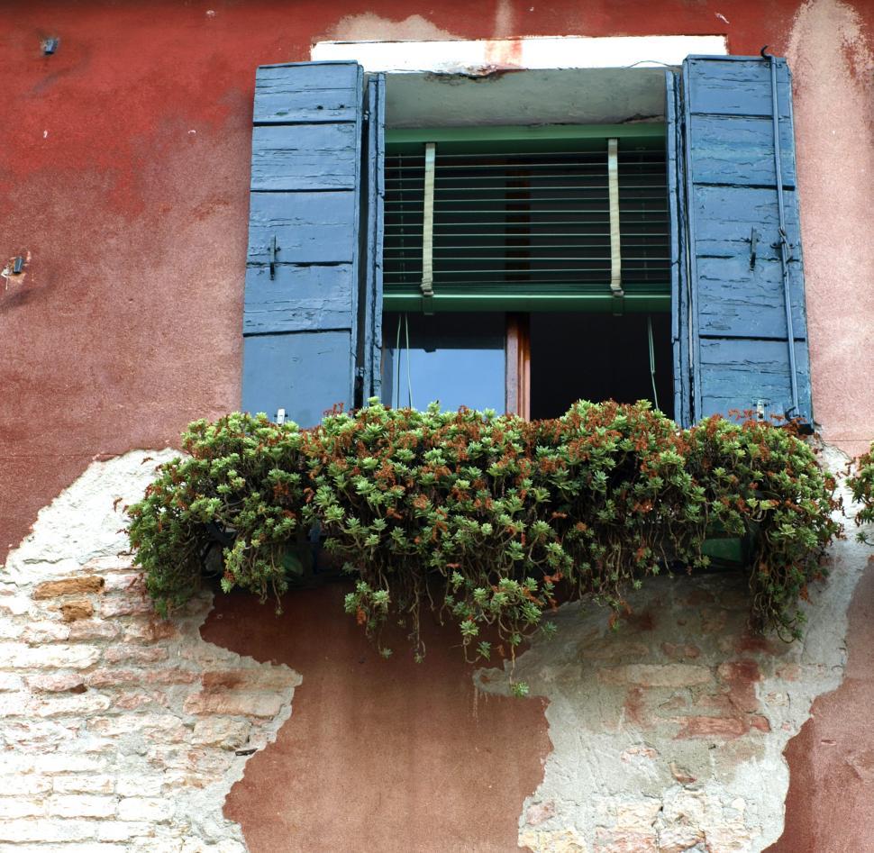 Free Image of A window with blue shutters and plants on a red wall 