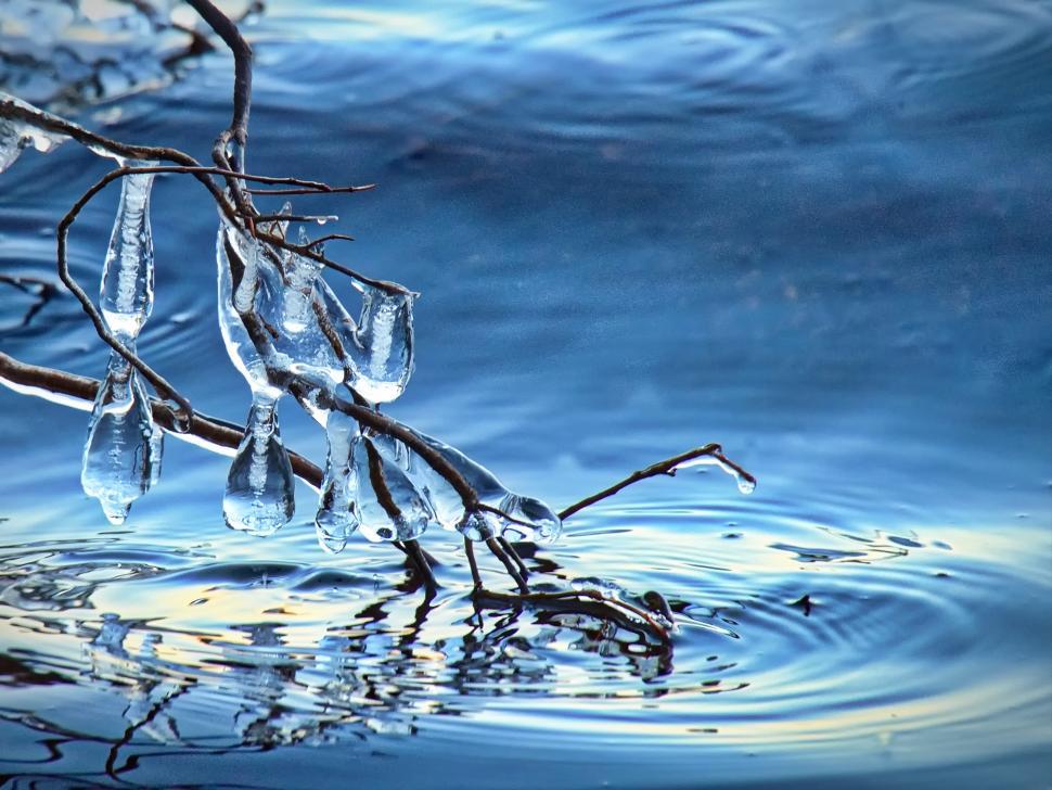 Free Image of A branch with icicles from it 