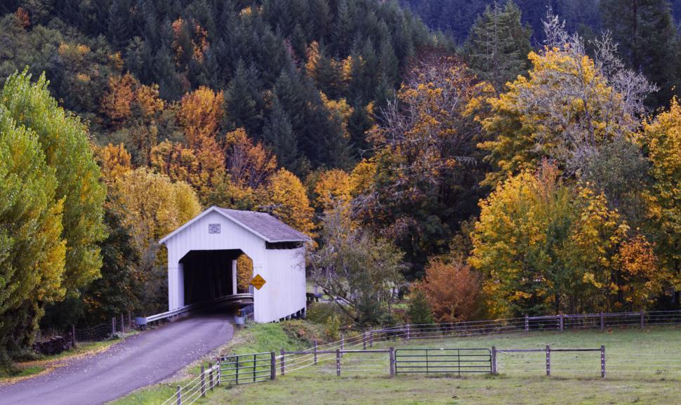 Free Image of A covered bridge with trees in the background 