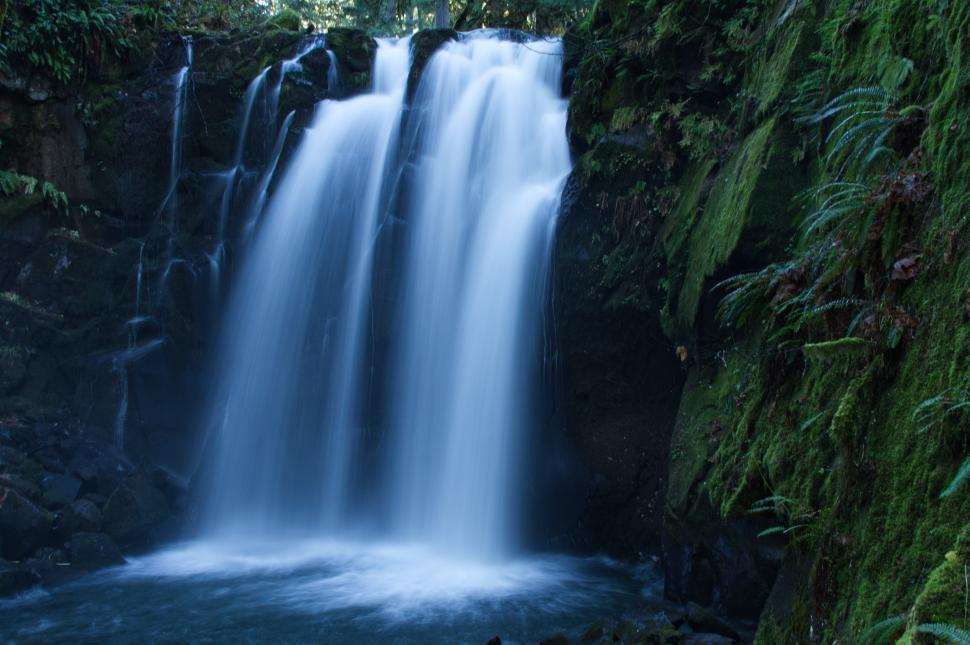 Free Image of A waterfall in the forest 