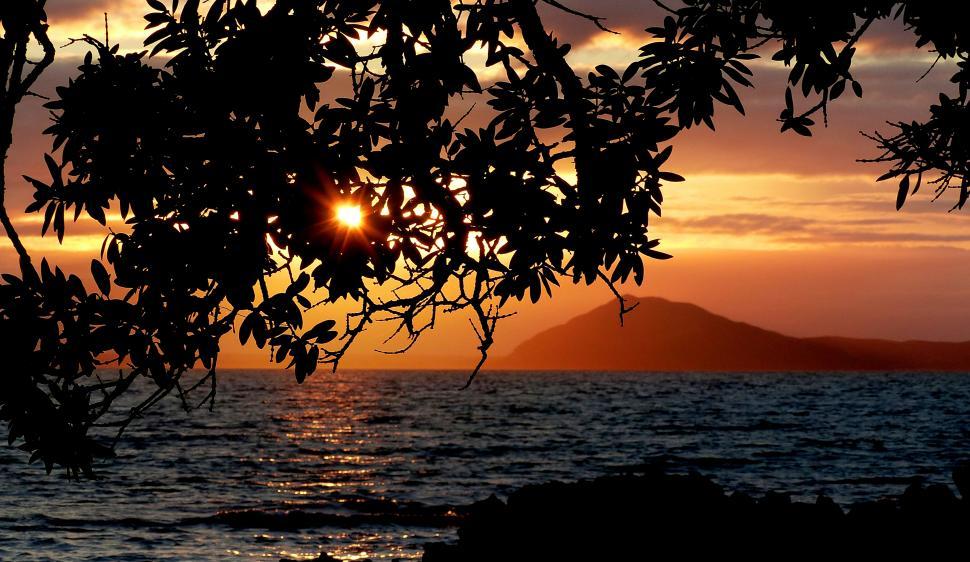 Free Image of A sunset over water with a tree branch and a mountain in the background 