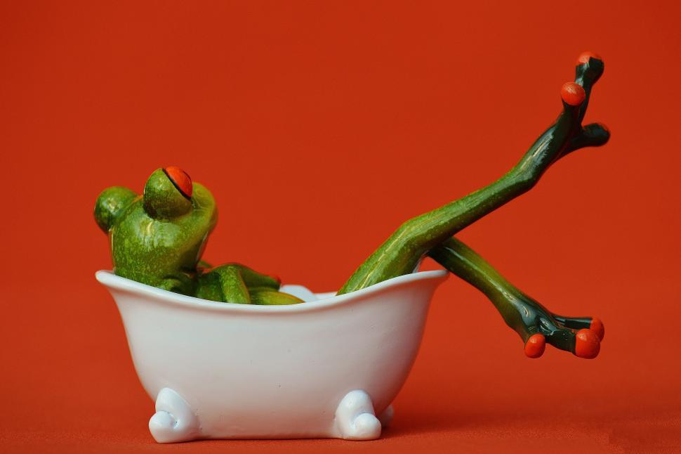 Free Image of A frog figurine in a bathtub 