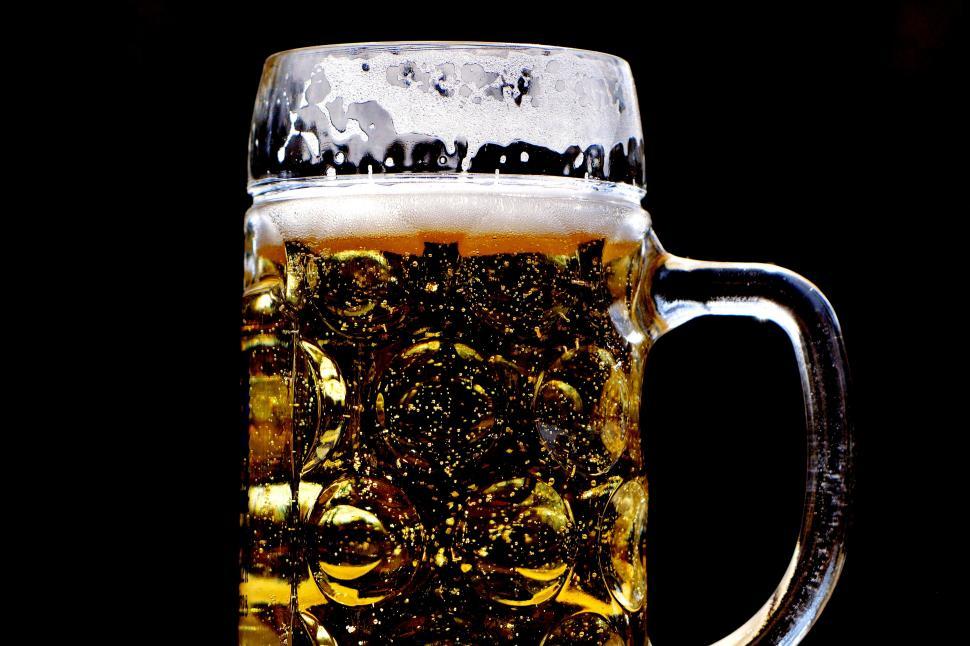 Free Image of A glass mug of beer 