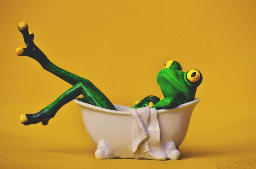 Free Image of A frog in a bathtub 