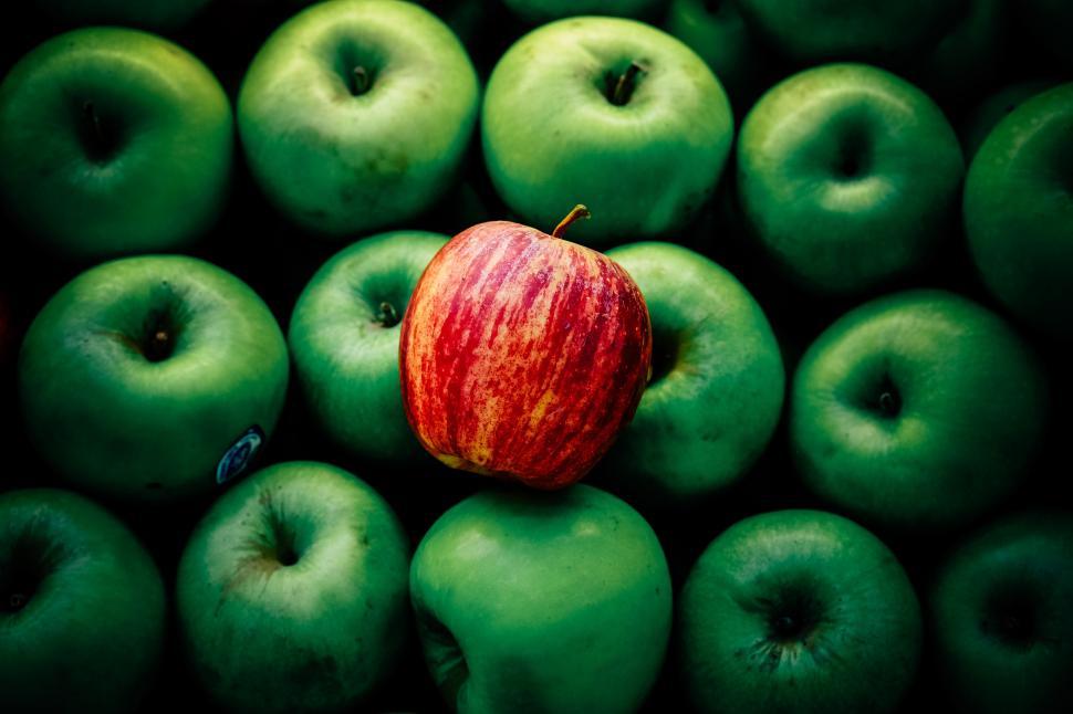 Free Image of A red and yellow apple on top of green apples 