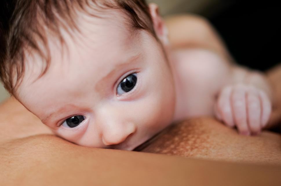 Free Image of Young mother breastfeeding newborn baby 
