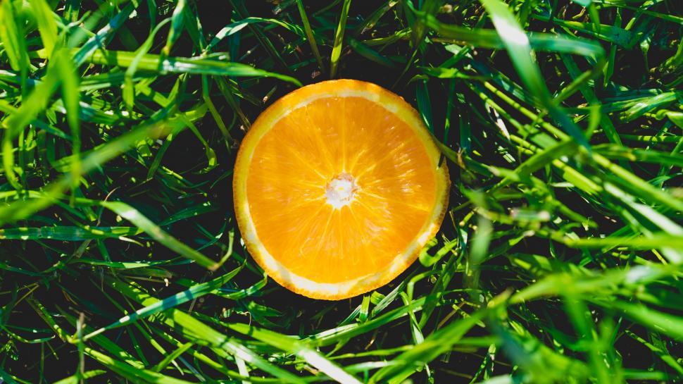 Free Image of A slice of orange in the grass 