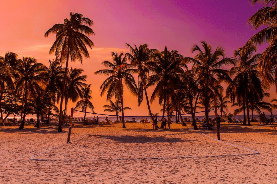 Free Image of A beach with palm trees and a volleyball net 