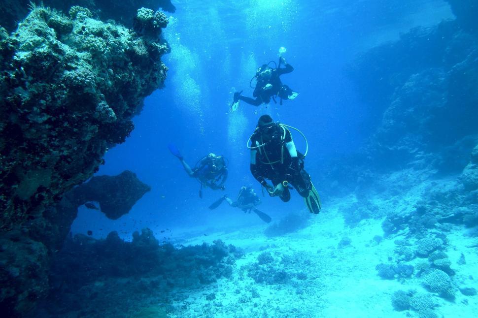 Free Image of Scuba divers under water with corals 