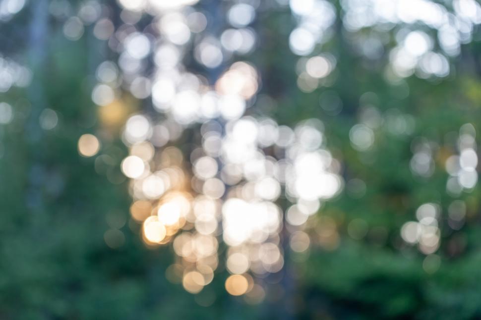 Free Image of Blur blurry image of trees and sun 