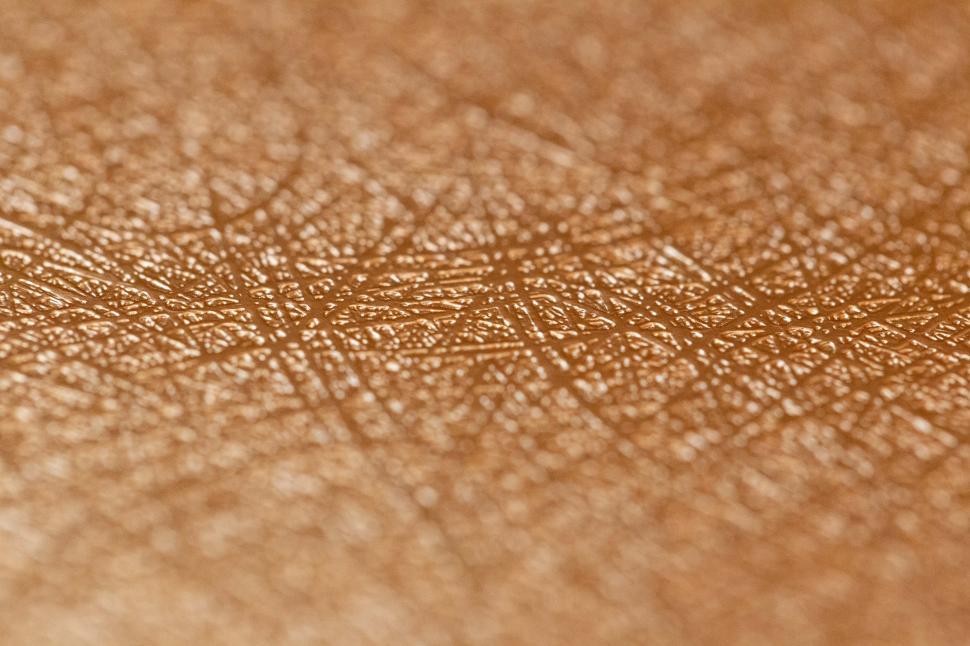 Free Image of A close up of a skin 