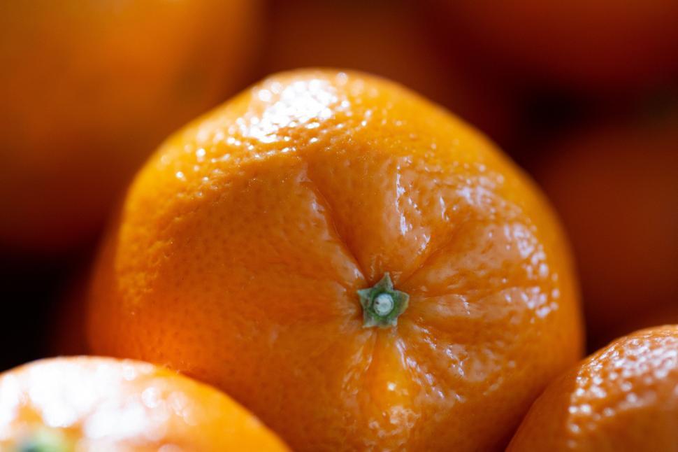 Free Image of Close up of an orange 