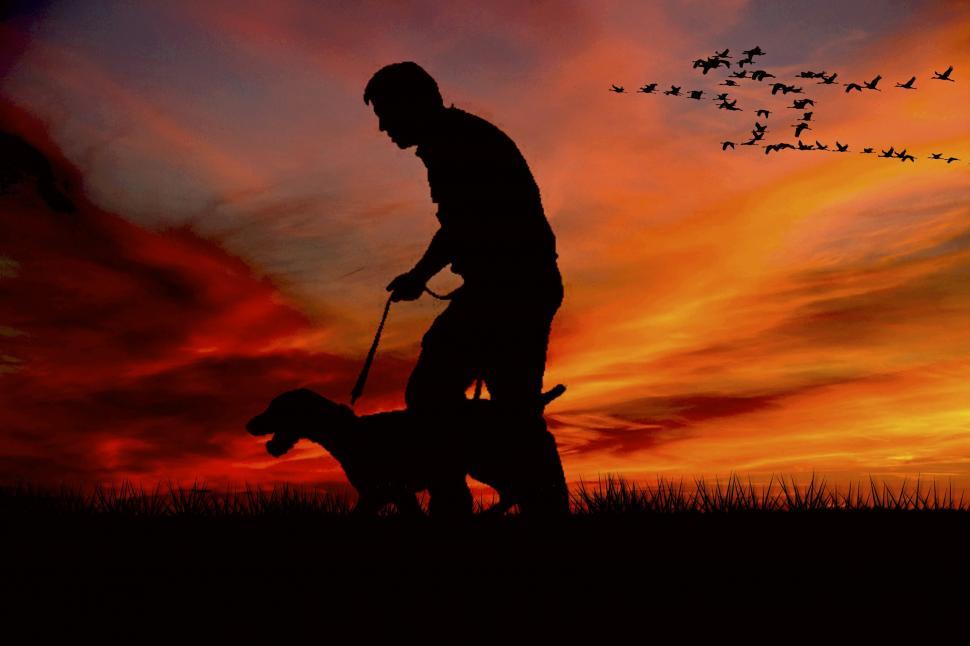 Free Image of A silhouette of a man walking a dog 
