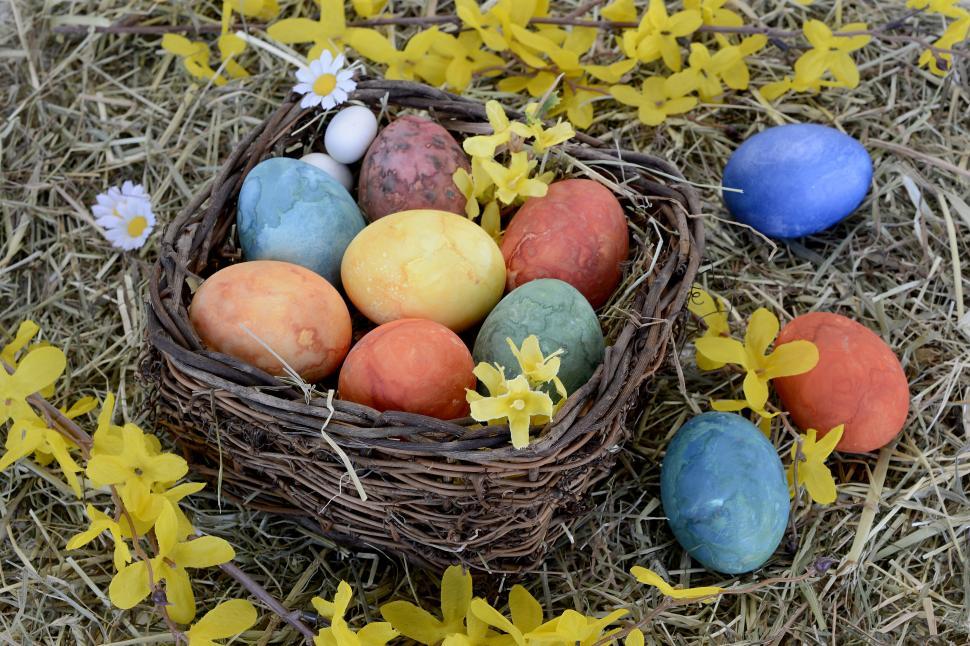 Free Image of A basket of colored eggs 