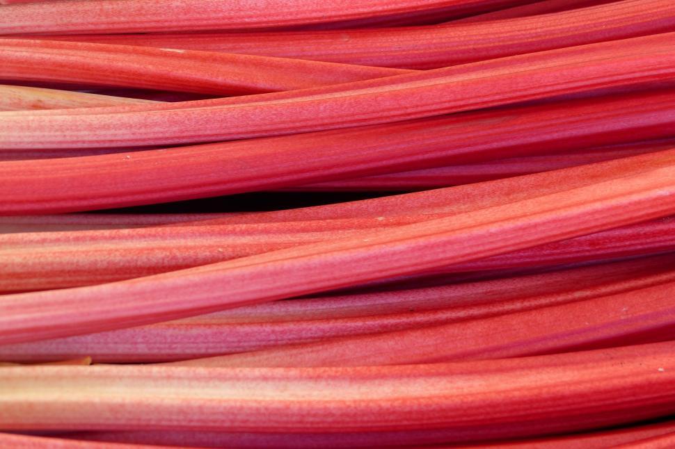 Free Image of A close up of rhubarb 
