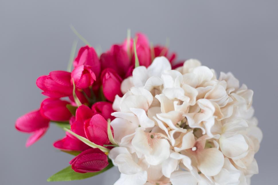 Free Image of A bouquet of pink and white flowers 