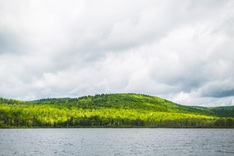 Free Image of A body of water with a hill and trees 
