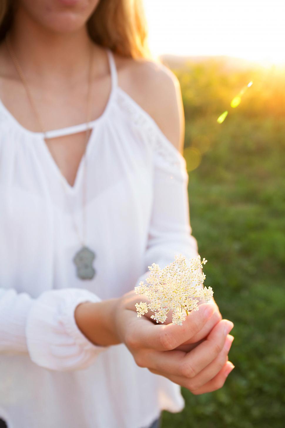 Free Image of A person holding a flower 