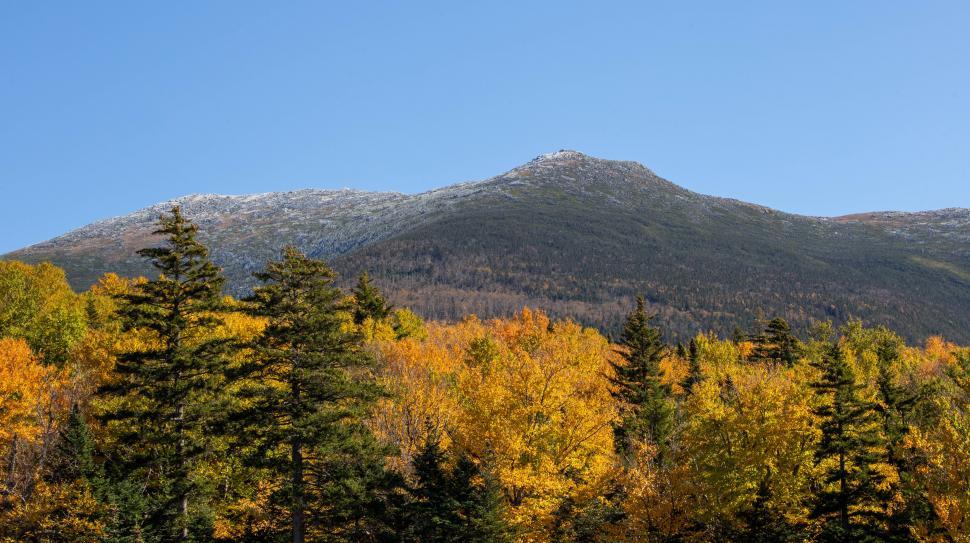 Free Image of A mountain with trees and yellow leaves 