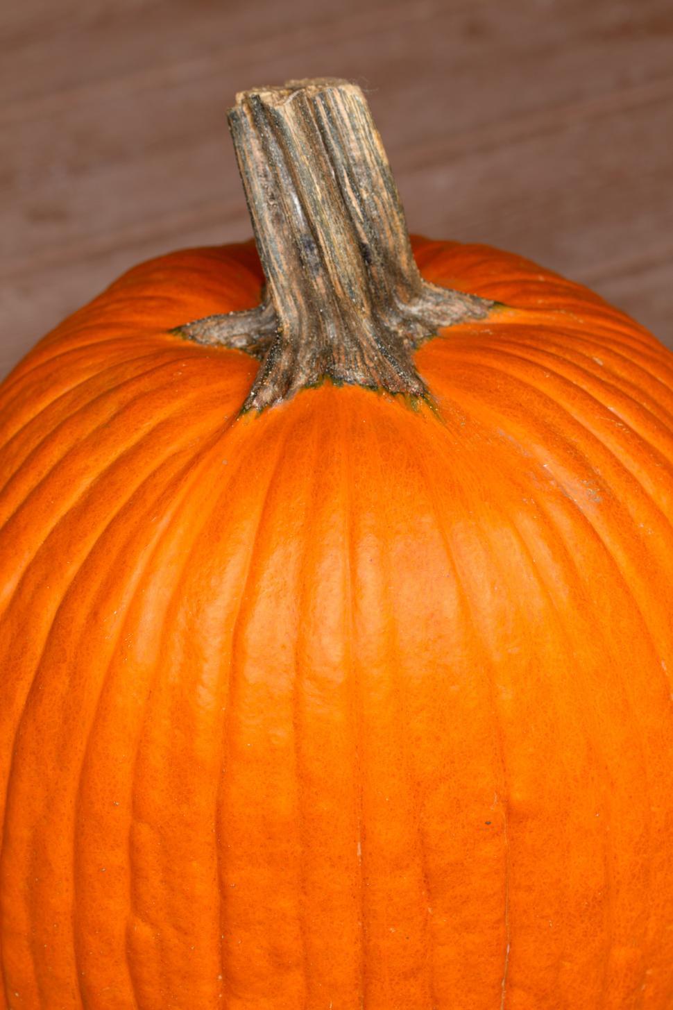 Free Image of A close up of a pumpkin 