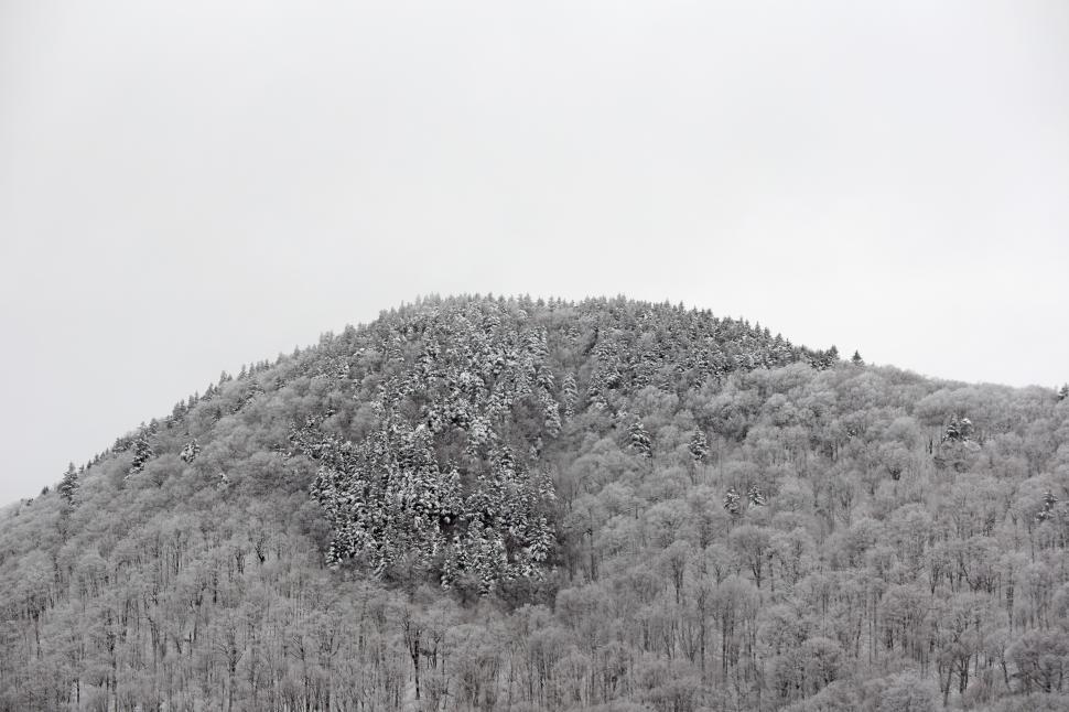 Free Image of A snowy mountain with trees 