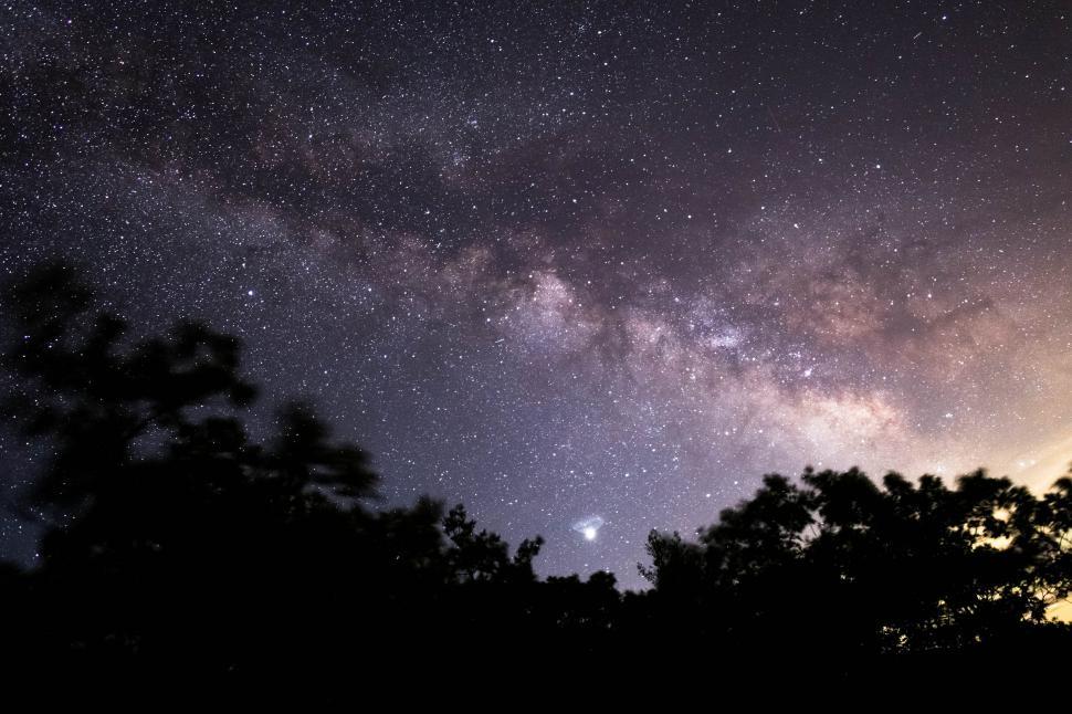 Free Image of A night sky with stars and trees 