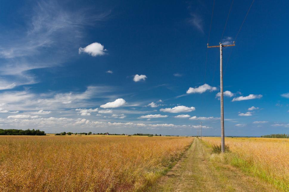 Free Image of A field with power lines and a blue sky 