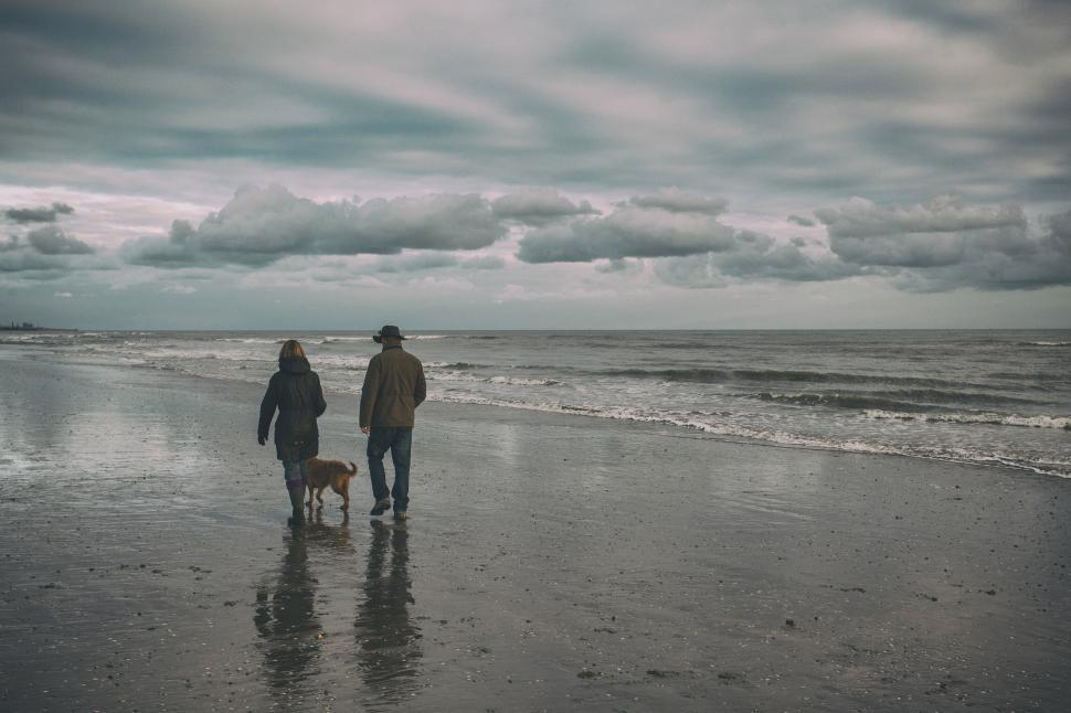 Free Image of A man and woman walking a dog on a beach 