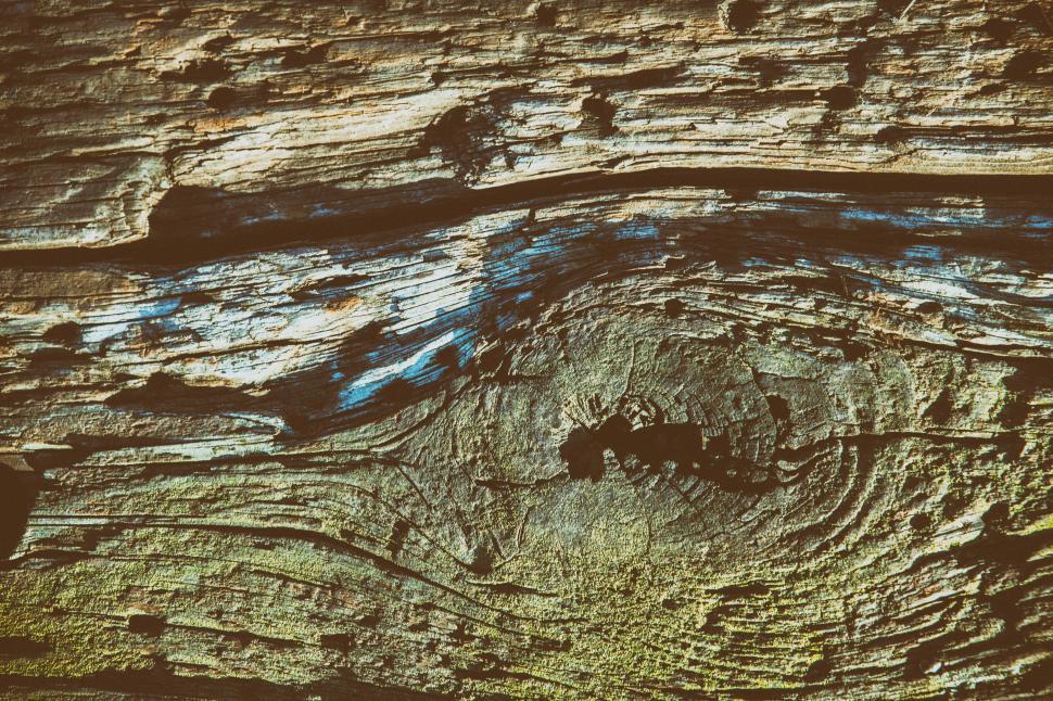 Free Image of A close up of a wood 