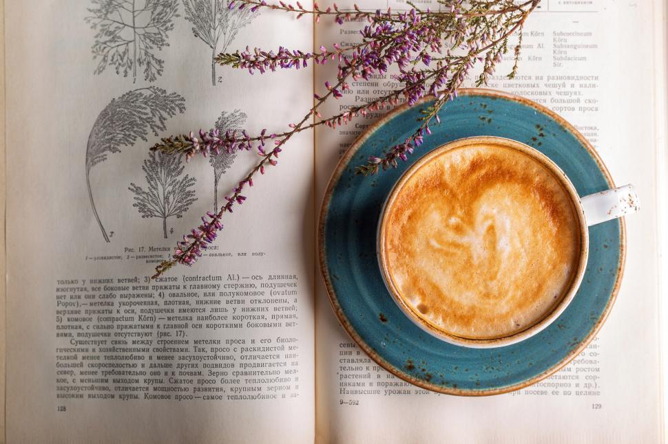 Free Image of A cup of coffee on a saucer next to a book 