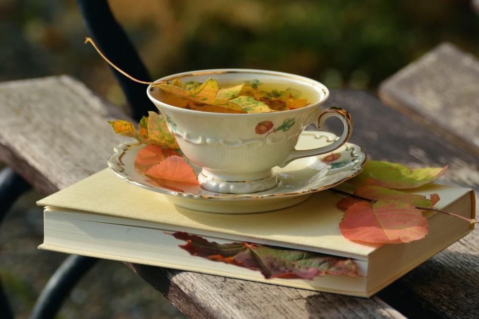 Free Image of A tea cup and saucer with leaves on top of a book 
