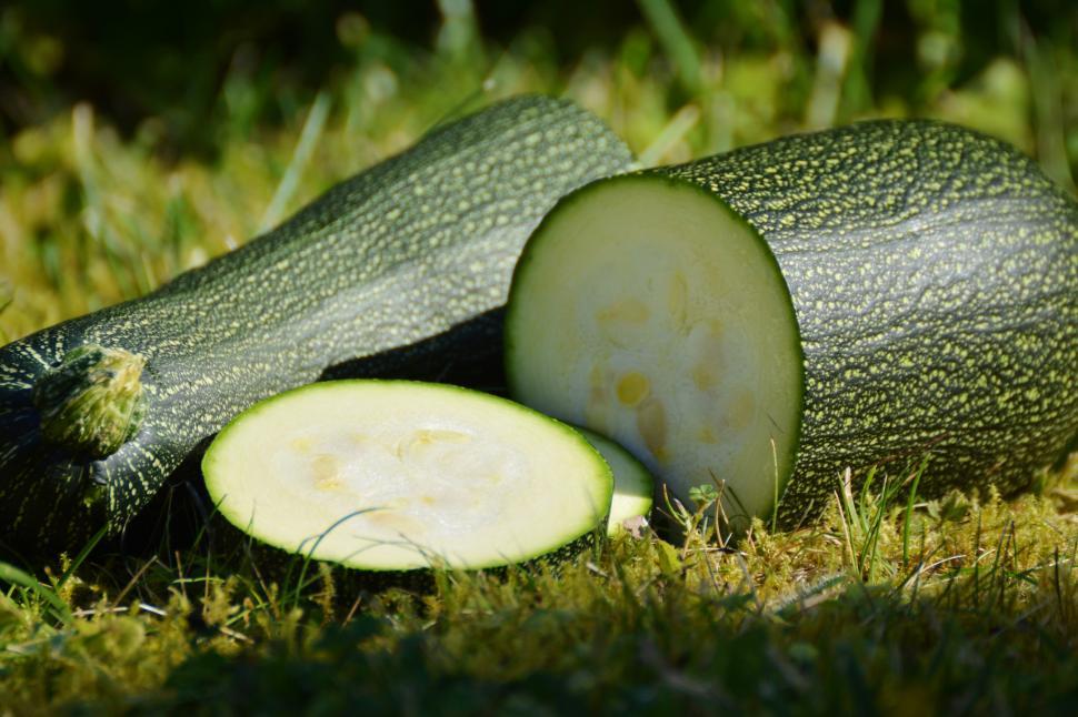 Free Image of Zucchini Vegetables Free Stock Photo 